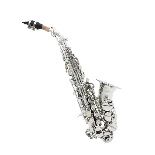 サックス シルバー」の人気商品一覧 | 安い商品を通販サイトから探す